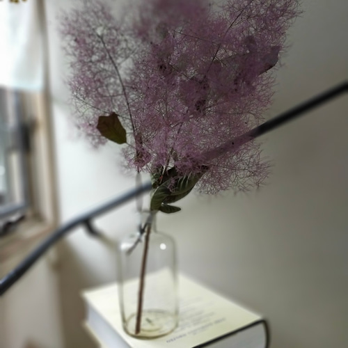 スモークツリードライフラワーとても大きな2本（サイズにより3本も