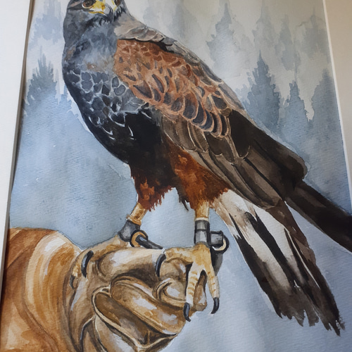 水彩画 ハリスホーク鷹匠 絵画 makochin 通販 14278681｜Creema(クリーマ)