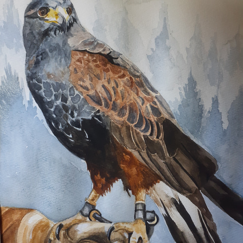 鷹(水彩画、額あり)