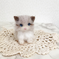 小さなラグドールの子猫＊羊毛フェルト 2枚目の画像