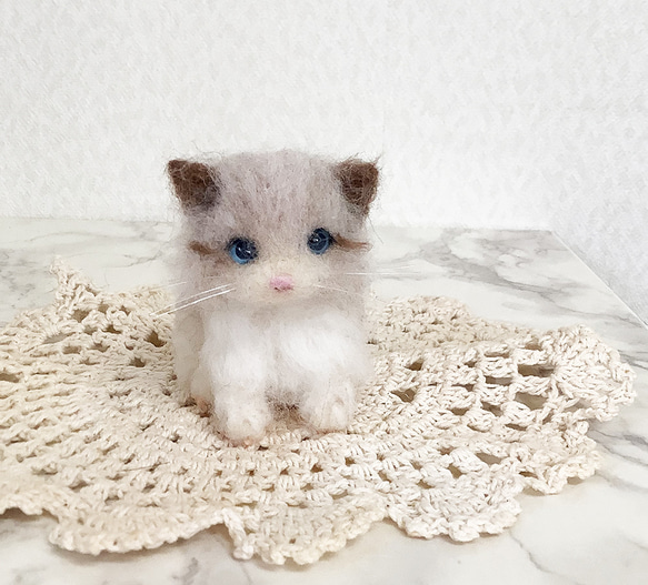小さなラグドールの子猫＊羊毛フェルト 2枚目の画像