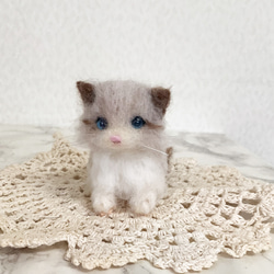 マンチカンの子猫＊羊毛フェルト＊猫＊子猫＊マンチカン＊ 羊毛