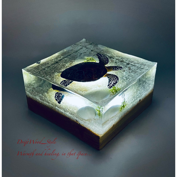 海の世界を閉じ込めた流木アート アオウミガメ 水中ジオラマ レジンアート オブジェ アクアリウム LEDライト付 N5 3枚目の画像