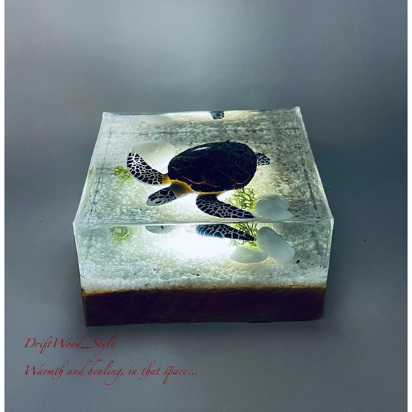 海の世界を閉じ込めた流木アート アオウミガメ 水中ジオラマ レジンアート オブジェ アクアリウム LEDライト付 N5 5枚目の画像