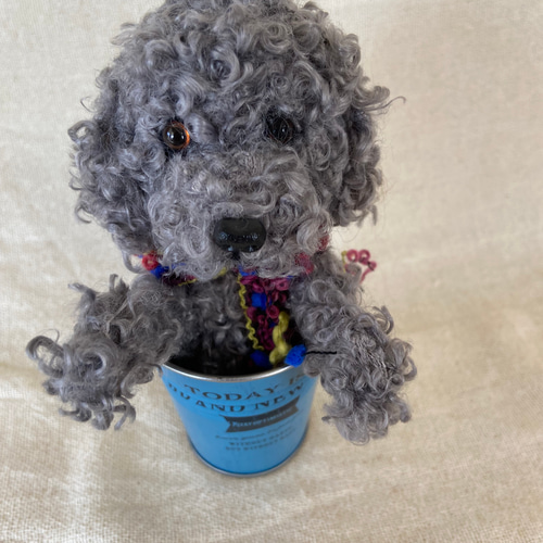 羊毛フェルト 犬 トイプードル ブラック 世界でたったひとつ》オーダー 犬♡うちの子製作♡羊毛フェルト