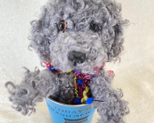 トイプードル 羊毛 羊毛フェルト ミニカップ犬 プレゼント 羊毛
