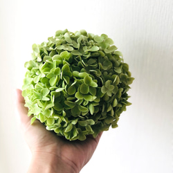 ミナヅキのオーバルリース♪ リース Dans les bois 通販 8002253