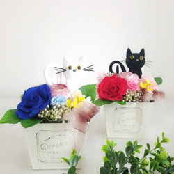 花と猫(レッド系)プリザーブドフラワー／ 猫 母の日 誕生日 フラワーギフト  花  猫好き プレゼント 置物 No.4 8枚目の画像