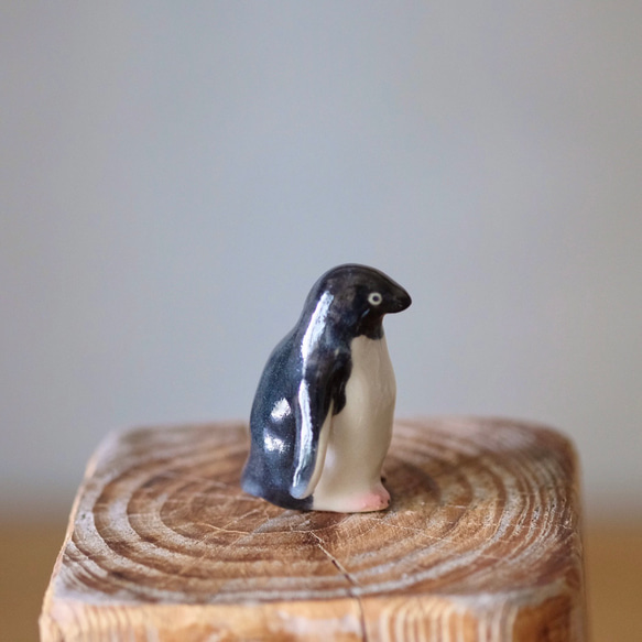 [再販]アデリーペンギン　動物オブジェ　置き物 5枚目の画像