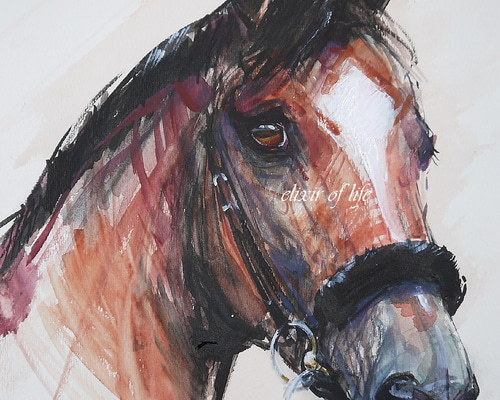 A race horse 1307（高級水彩画用紙、F4、24cm×33，7cm、墨