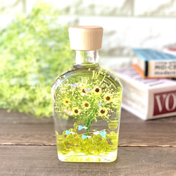 深海のクラゲのハーバリウム ハーバリウム・植物標本 Pasa Pasa