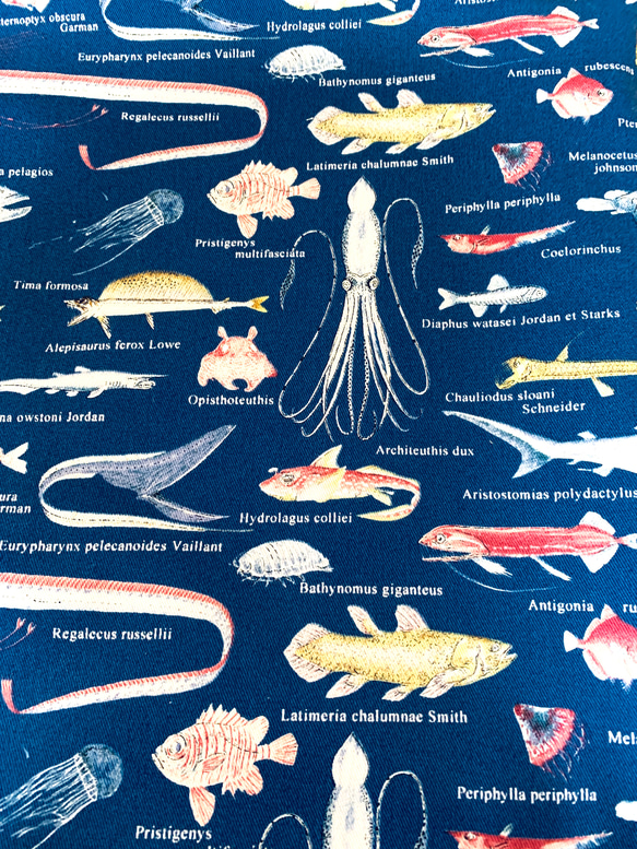 【Creema限定/超早割価格！入園・入学準備】深海魚柄のレッスンバッグ 6枚目の画像