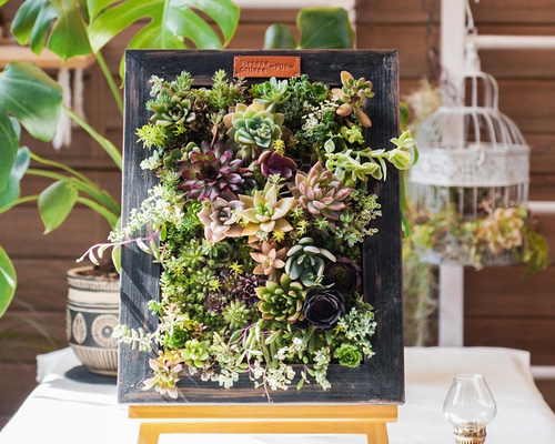 8c462133562be16c67237047df6cbc