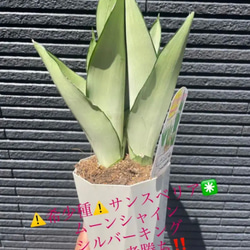 7f55f675ac3325070b445728cddda8