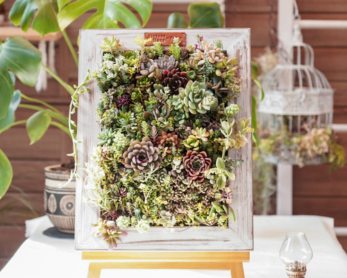 364e634a48940e9e96e58a9cd82bcf