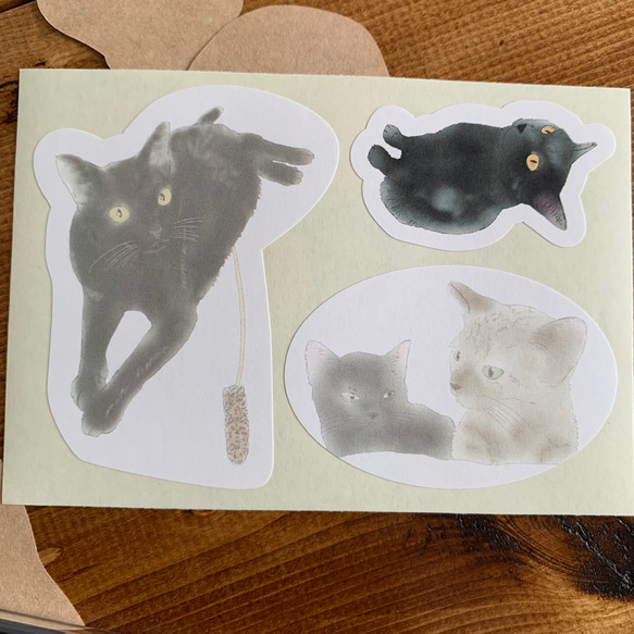 ねこだらけ黒色の子【切り抜きレターセット】 6枚目の画像