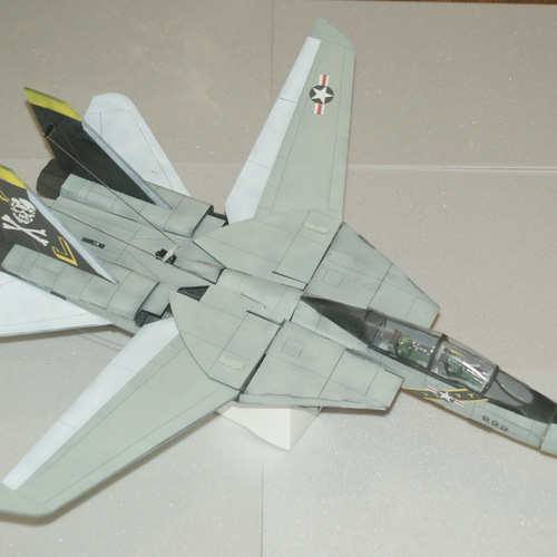 空飛ぶプラモデル ビッグスケールグライダー F-14 トムキャット