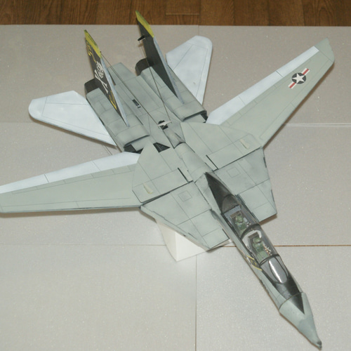 空飛ぶプラモデル ビッグスケールグライダー F-14 トムキャット