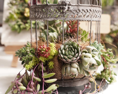 b17746db347491578a563dd3c7abf1