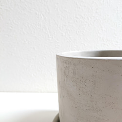 ●数量限定●　ちいさなサボテン　”キャンドルサボテン（赤・黄色・ピンク）緋牡丹　鉢/受け皿セット”　観葉植物　かわいい 11枚目の画像