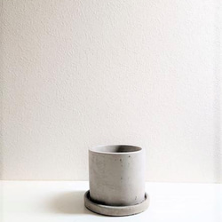 ●数量限定●　ちいさなサボテン　”キャンドルサボテン（赤・黄色・ピンク）緋牡丹　鉢/受け皿セット”　観葉植物　かわいい 10枚目の画像