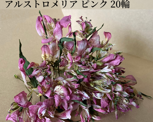 b6d968e96d04c26b5d8d70fff60a0a