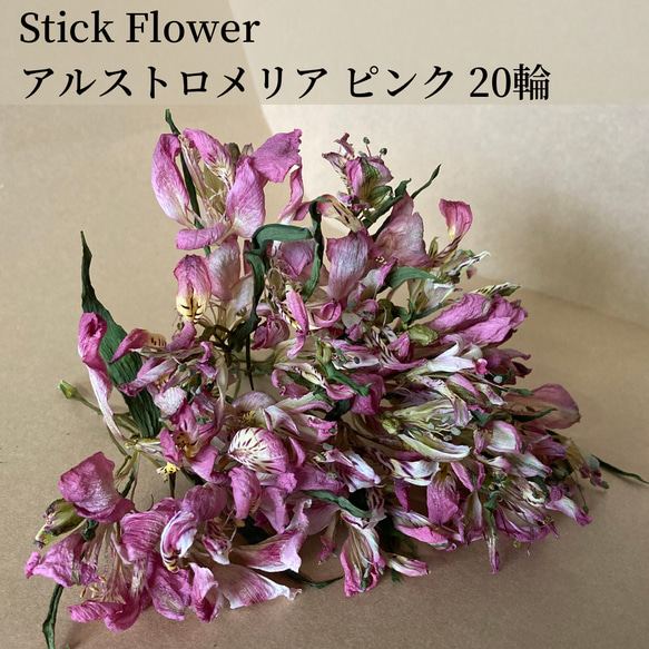 20輪｜アルストロメリアのドライフラワー｜ピンク ドライフラワー Sift