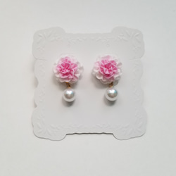 つまみ細工　ピンクのグラデーション花とパールのピアス/イヤリング/ノンホールピアス 3枚目の画像