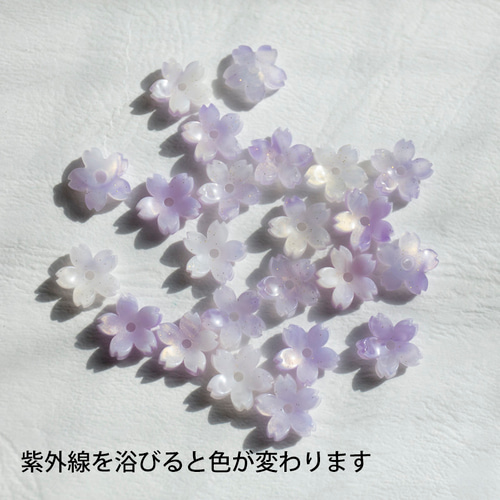 貝殻の装飾品 白色と薄紫色 貝殻の装飾品 白色と薄紫色