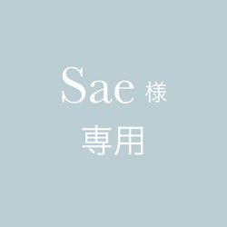 Sae様専用 1枚目の画像