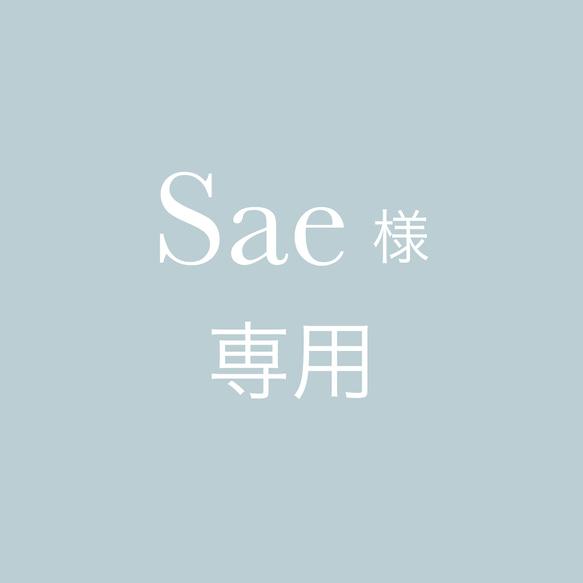 Sae様専用 1枚目の画像