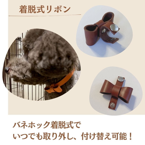 リボン付き ステッチが可愛い 猫・犬用 本革首輪 迷子札つきで安心