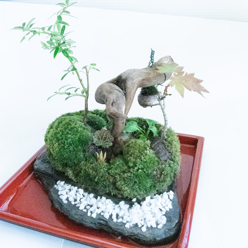 自然石 天然石 水石 盆栽・苔玉用 溜まり 石のみ 自然石 天然石 水石 盆栽・苔玉用 溜まり 石のみ 自然石 天然石 水石