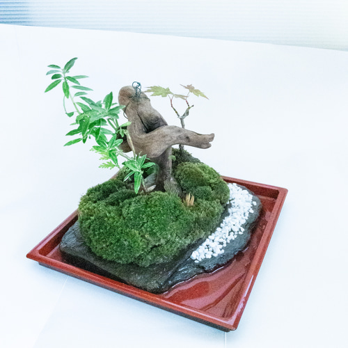 苔 苔島 苔盆景 苔テラリウム 苔盆栽 苔庭 曲木ノ芯 一輪挿し