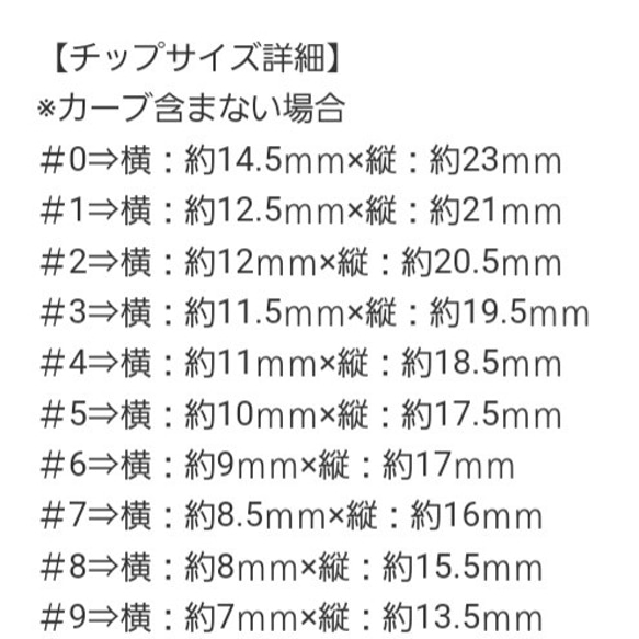 サイズ計測チップ ショートラウンド 4枚目の画像