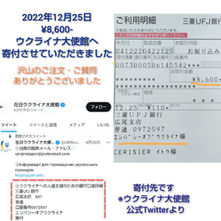 ウクライナ支援＊送料無料【ネイティブ柄のミサンガ2】 10枚目の画像