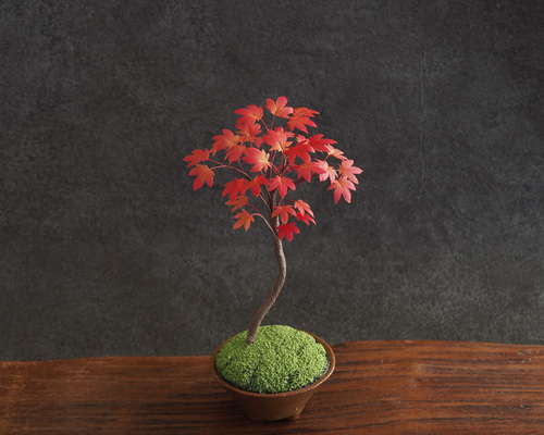【御朱印巡り♡♡】秋の風情☆美しきイロハモミジと南天の苔盆栽 盆栽鉢付き 806e618fe129f58e8120036803bd61