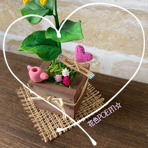レンジ対応！木製 曲げわっぱ弁当箱 二段 スリ漆 中子PET 小