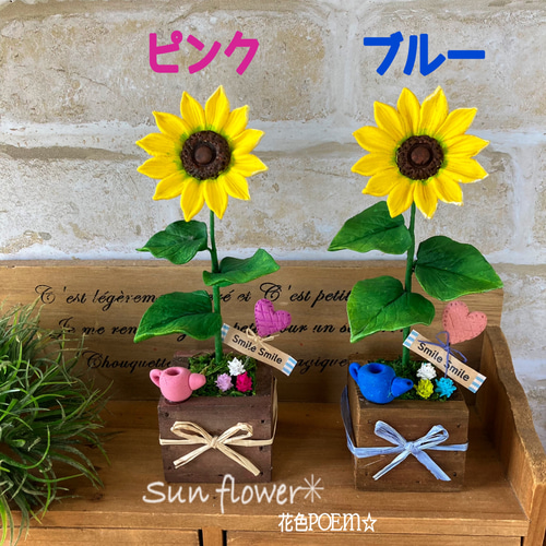 ☆ himawaRi さま 専用 ☆ HIMAWARIさま専用 【公式通販】