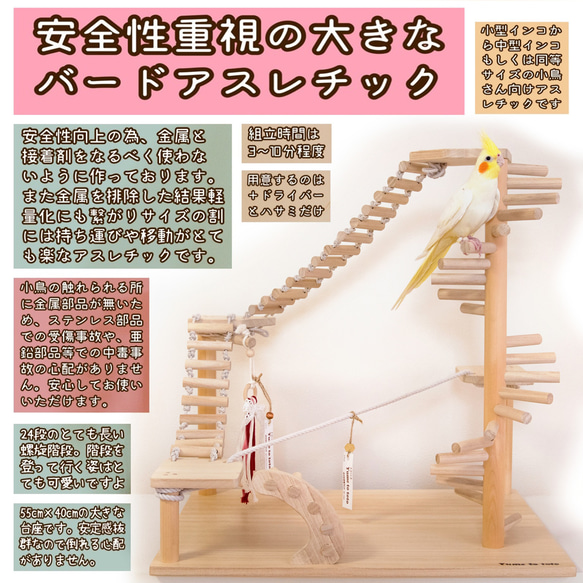 ⑩中型バードジム　バードアスレチック 展示用】自然木（ツタ）と螺旋階段のぐるぐるバードアスレチック