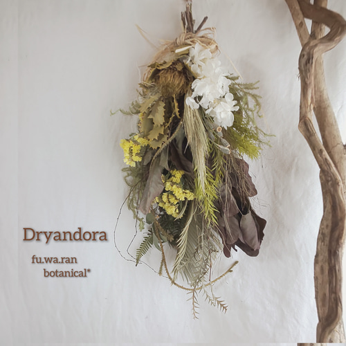 クエキフォリア&アジサイ ドライフラワースワッグ スワッグ fu.wa.ran  