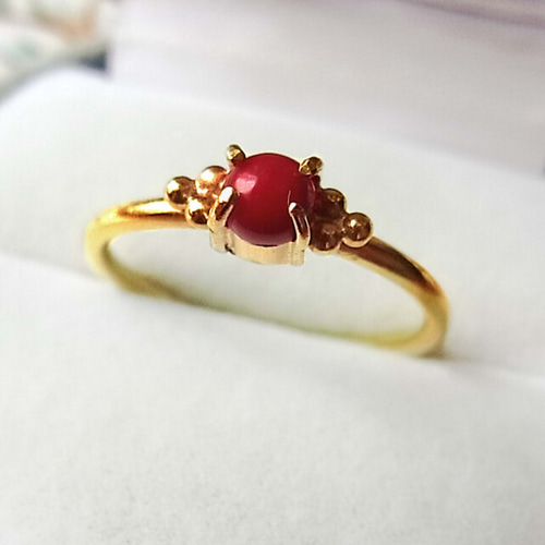 赤珊瑚のリング ラウンドカボションカット 指輪・リング Luciole