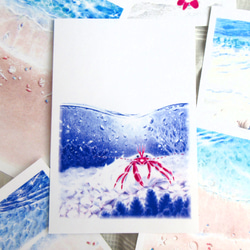 海のイラストポストカード６枚セット（暑中見舞い・残暑見舞いに・夏の季節のグリーティングカード）） 3枚目の画像