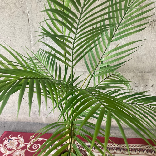 光触媒 人工観葉植物 ウォールグリーン フェイク フラワー アレカヤシ