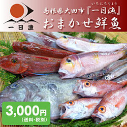 New!◆おまかせ鮮魚◆3000円～日本海のとれたて鮮魚が新鮮なまま＆下ごしらえ済で届きます♪ 2枚目の画像