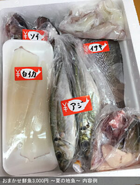 New!◆おまかせ鮮魚◆3000円～日本海のとれたて鮮魚が新鮮なまま＆下ごしらえ済で届きます♪ 5枚目の画像