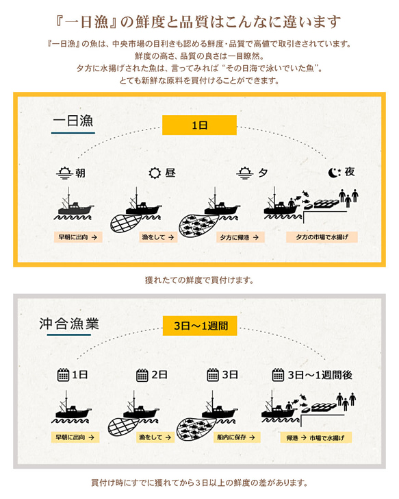 New!◆おまかせ鮮魚◆3000円～日本海のとれたて鮮魚が新鮮なまま＆下ごしらえ済で届きます♪ 9枚目の画像