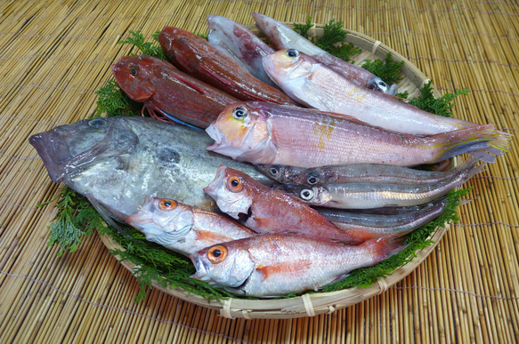 New!◆おまかせ鮮魚◆3000円～日本海のとれたて鮮魚が新鮮なまま＆下ごしらえ済で届きます♪ 3枚目の画像