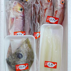 New!◆おまかせ鮮魚◆3000円～日本海のとれたて鮮魚が新鮮なまま＆下ごしらえ済で届きます♪ 6枚目の画像