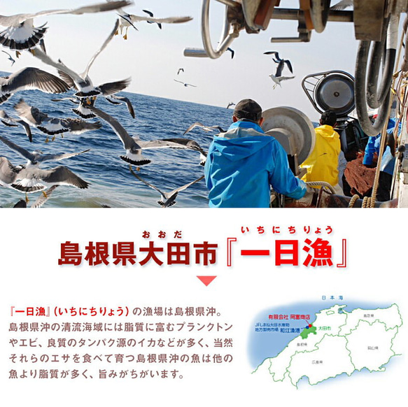 New!◆おまかせ鮮魚◆3000円～日本海のとれたて鮮魚が新鮮なまま＆下ごしらえ済で届きます♪ 8枚目の画像